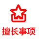 擅长事项